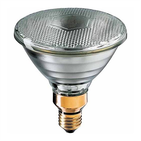 Philips 120W Flood Light Bulb