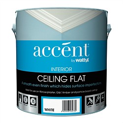 Accent Ceiling Paint White
