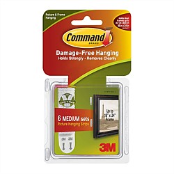 3M Command Medium Picture Hanging Strips