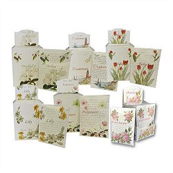 Scents Hill Scented Sachet