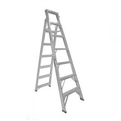 Werner Dual 6 Aluminium Ladder
