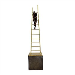 Man Sitting On Ladder