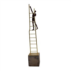 Man Climbing On Ladder